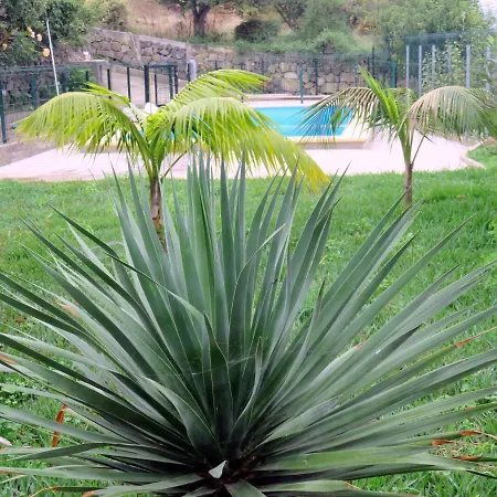 Holiday home Finca-panoramica-teidemar-3-schlafzimmer-baeder-tolle-fernsicht-gaerten-pool-grill-und-parkplatz *